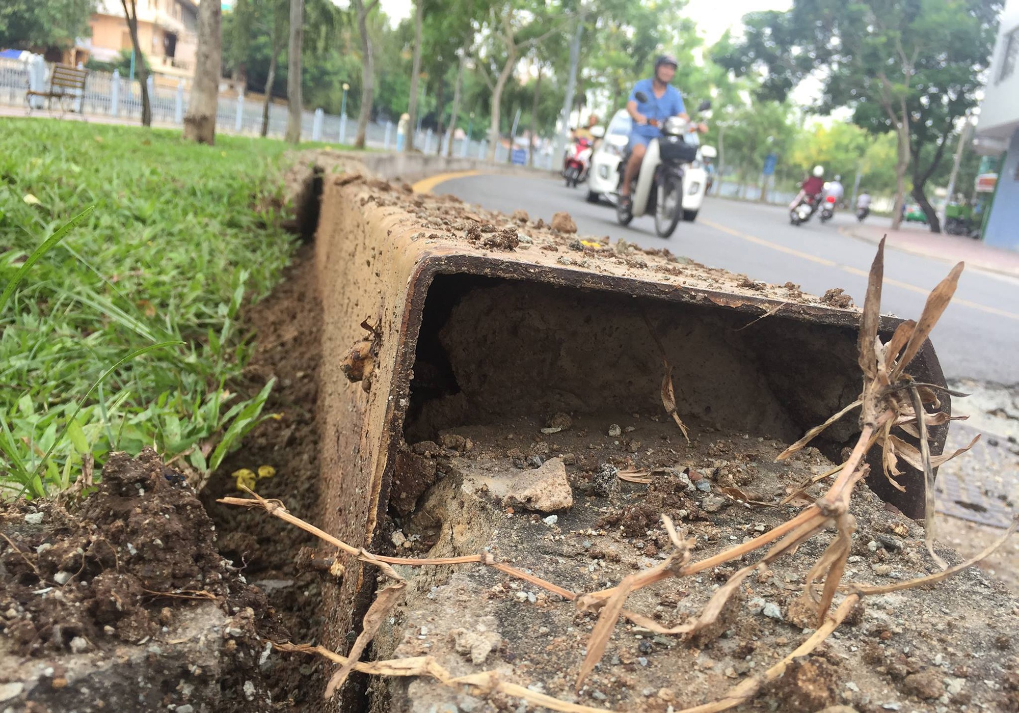 no ho ga tren duong truong sa anh 2