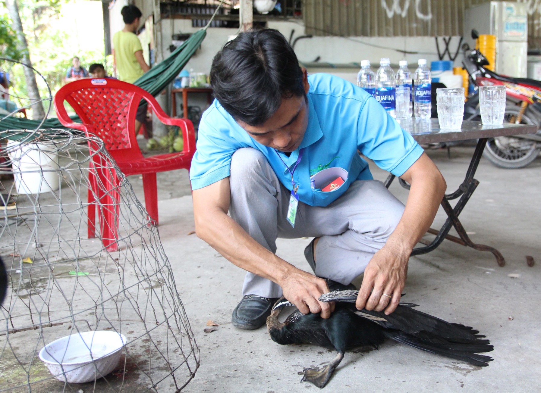 bắt được chim cổ rắn quý hiếm ảnh 2 bat duoc chim co ran quy hiem anh 2