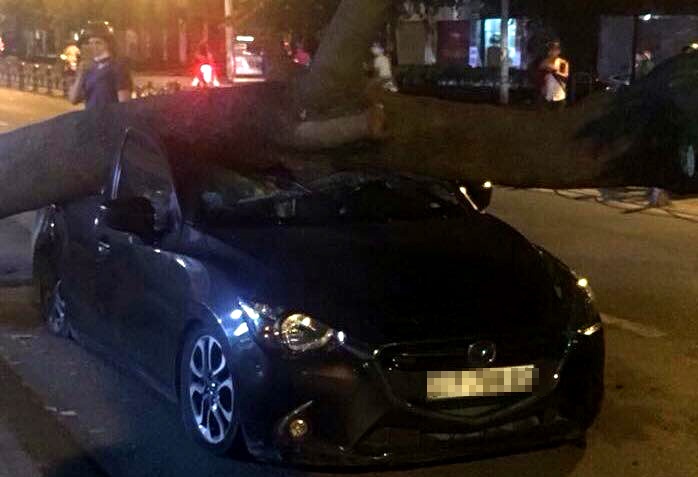 Xa cu cao 15 m bat goc de oto trong dem o trung tam Sai Gon hinh anh