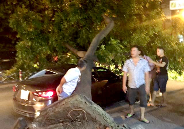 xa cu bat goc de oto anh 1