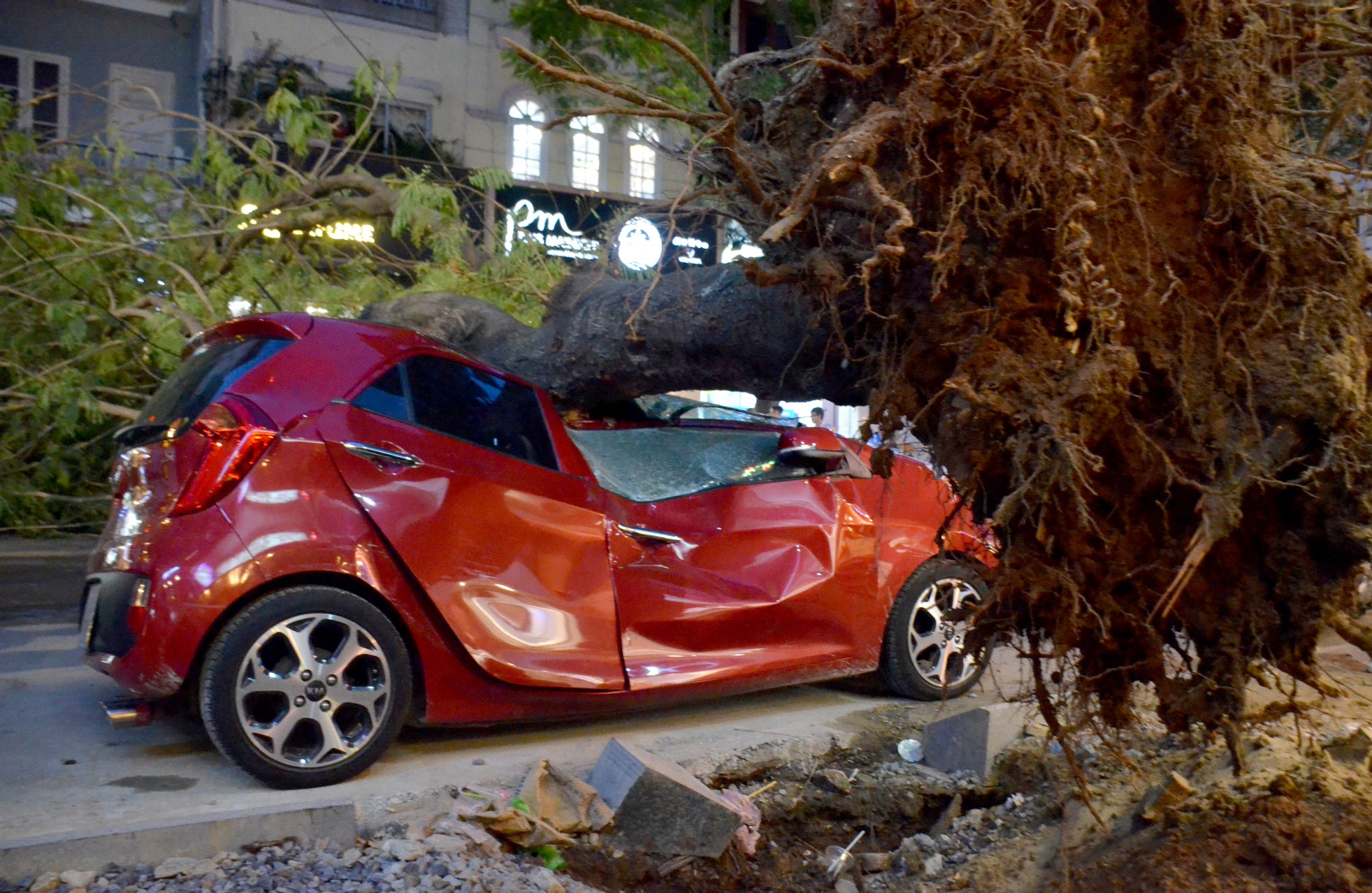 co thu lai bat goc de oto anh 1