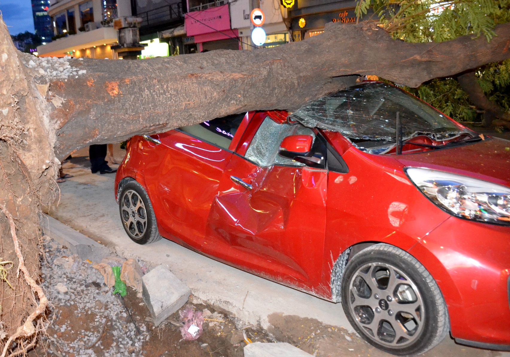 Cay bat goc de oto o trung tam Sai Gon hinh anh