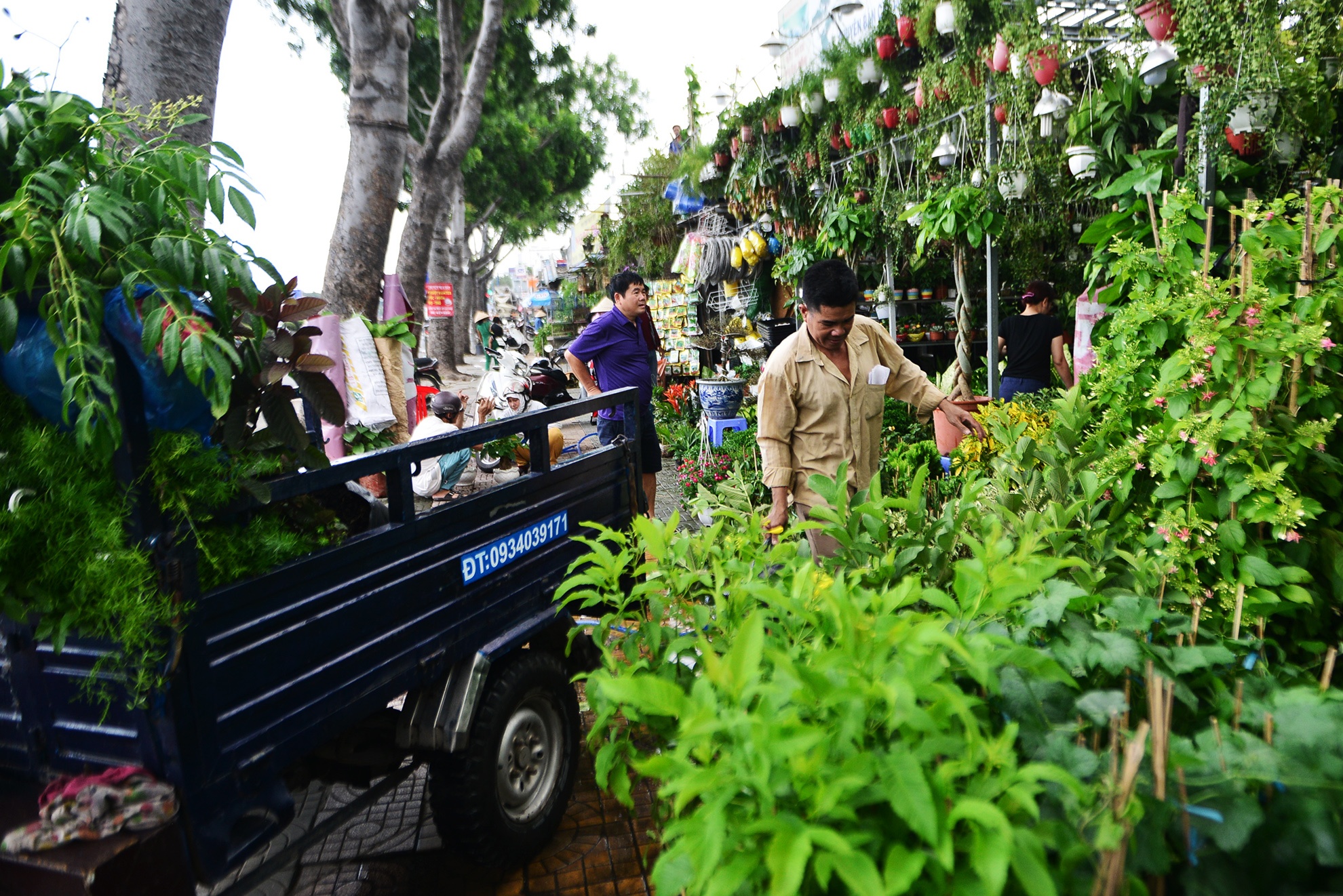 thu hoi dat quanh san bay anh 3