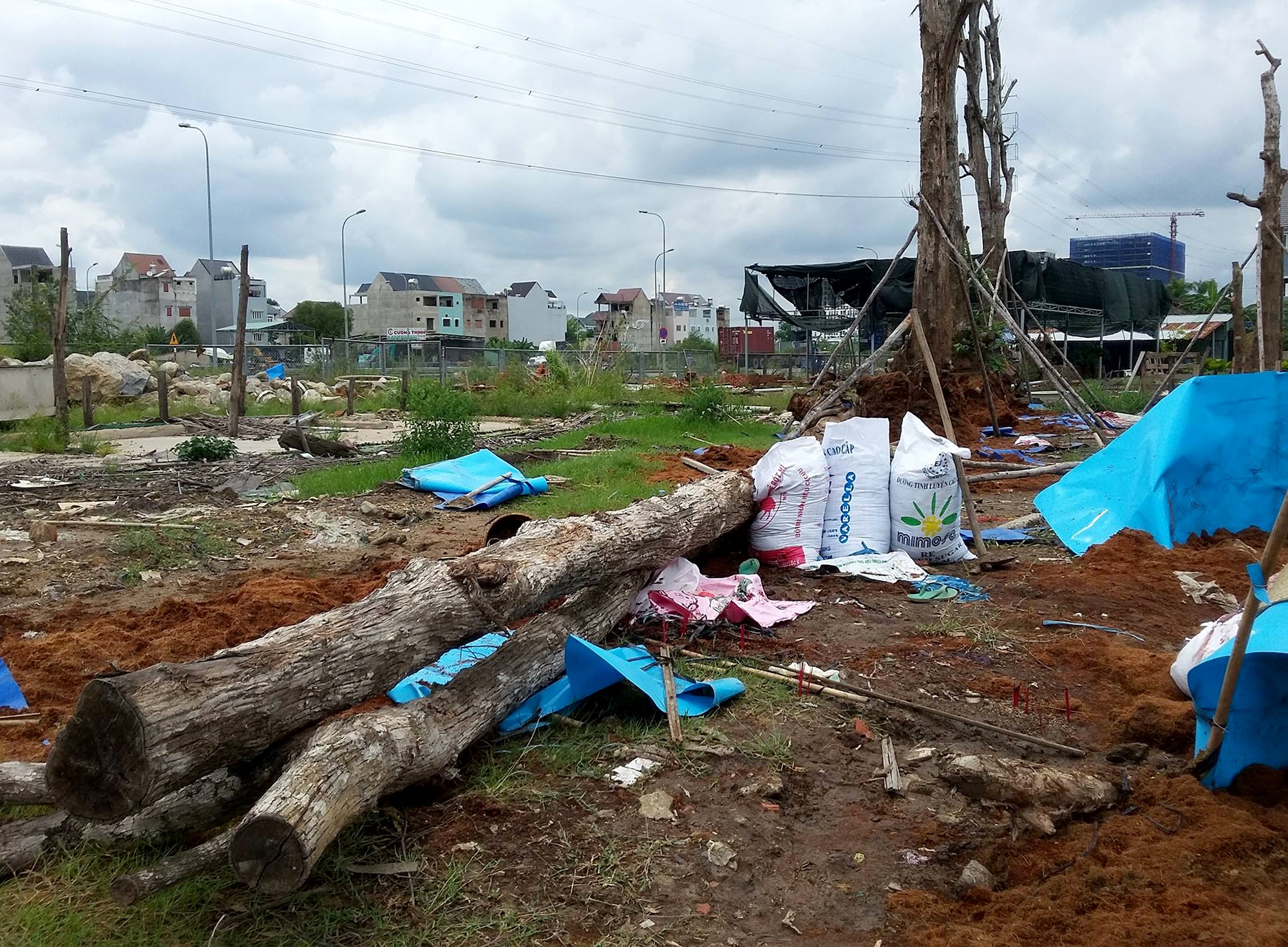 Thanh nien 22 tuoi bi than cay de chet o Sai Gon hinh anh