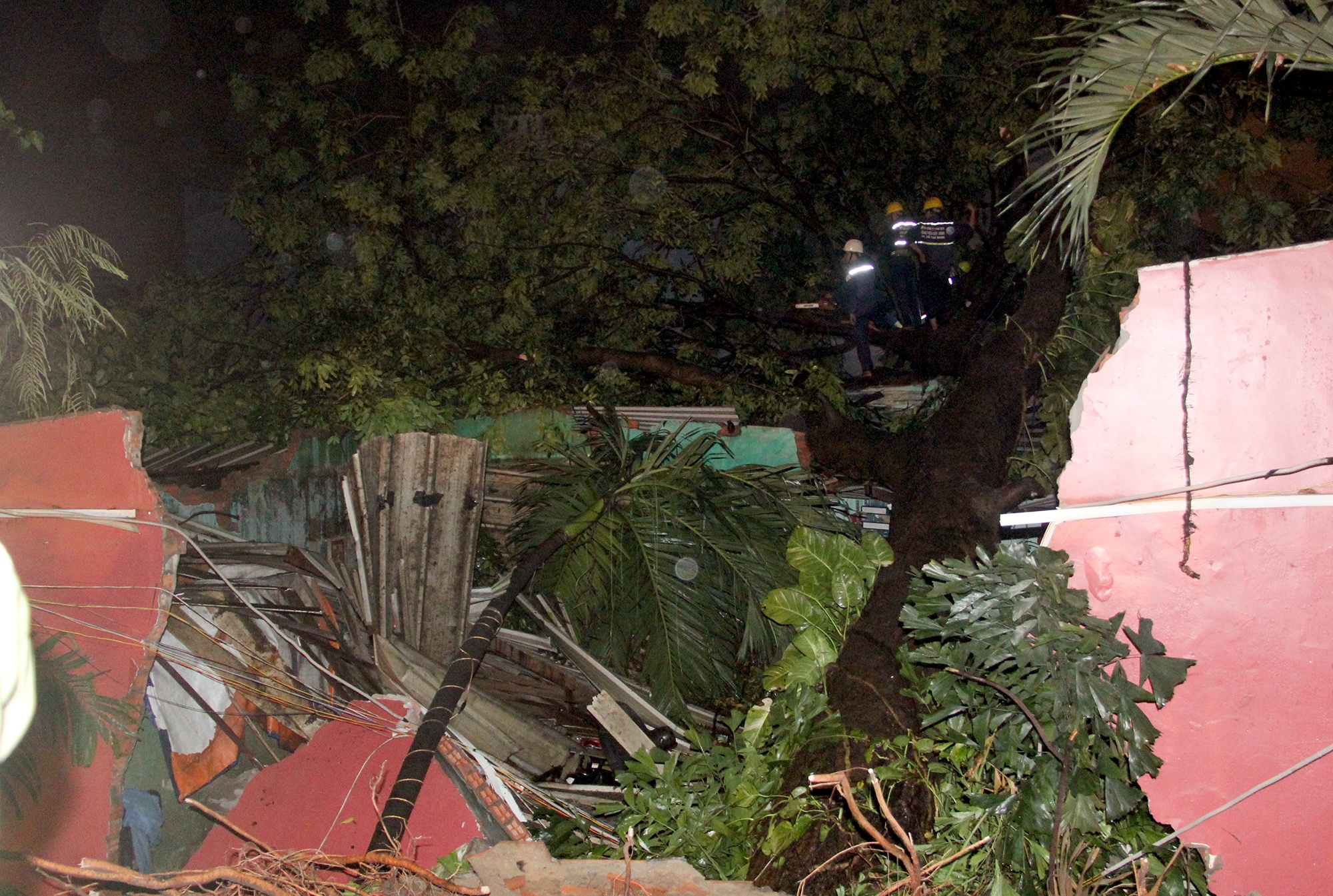 do cay o Sai Gon anh 2