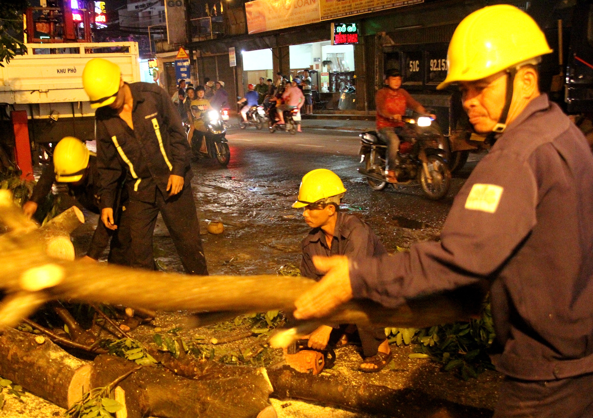 do cay o Sai Gon anh 3