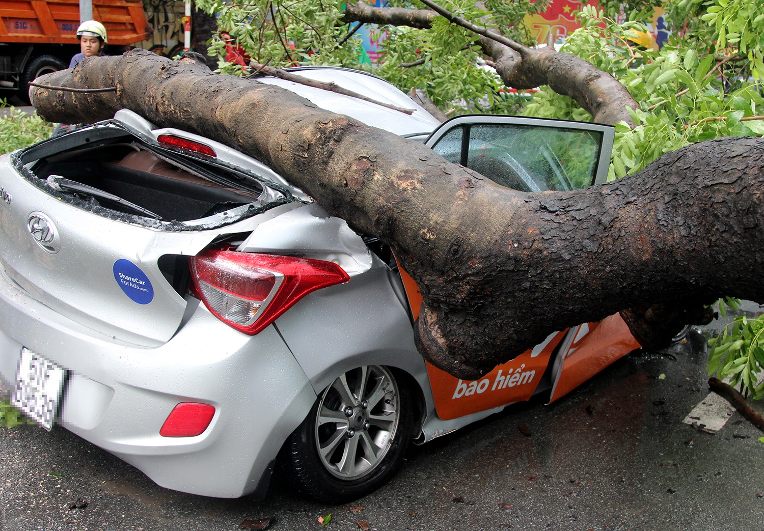 Cay co thu bat goc de bep taxi, nu hanh khach nhap vien hinh anh