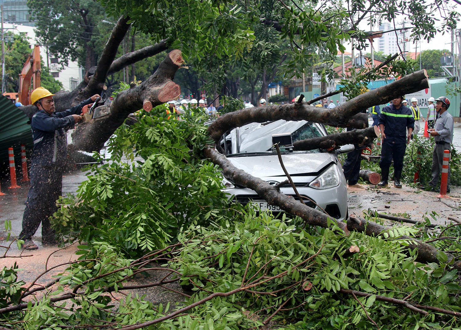 co thu bat goc de oto anh 2