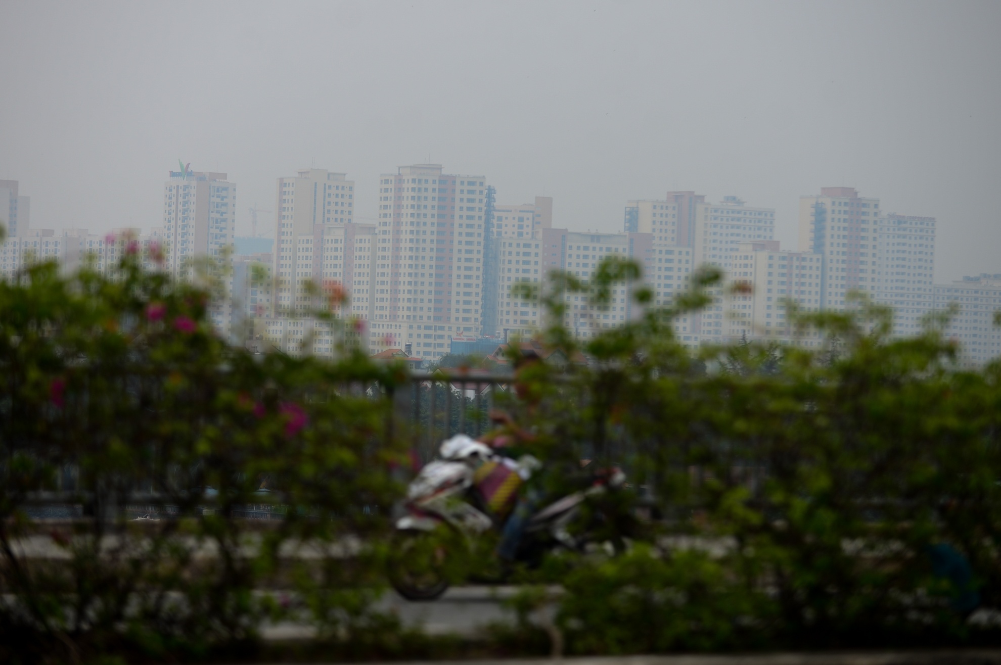 sương mù dày đặc ở sài gòn ảnh 5 suong mu day dac o sai gon anh 5