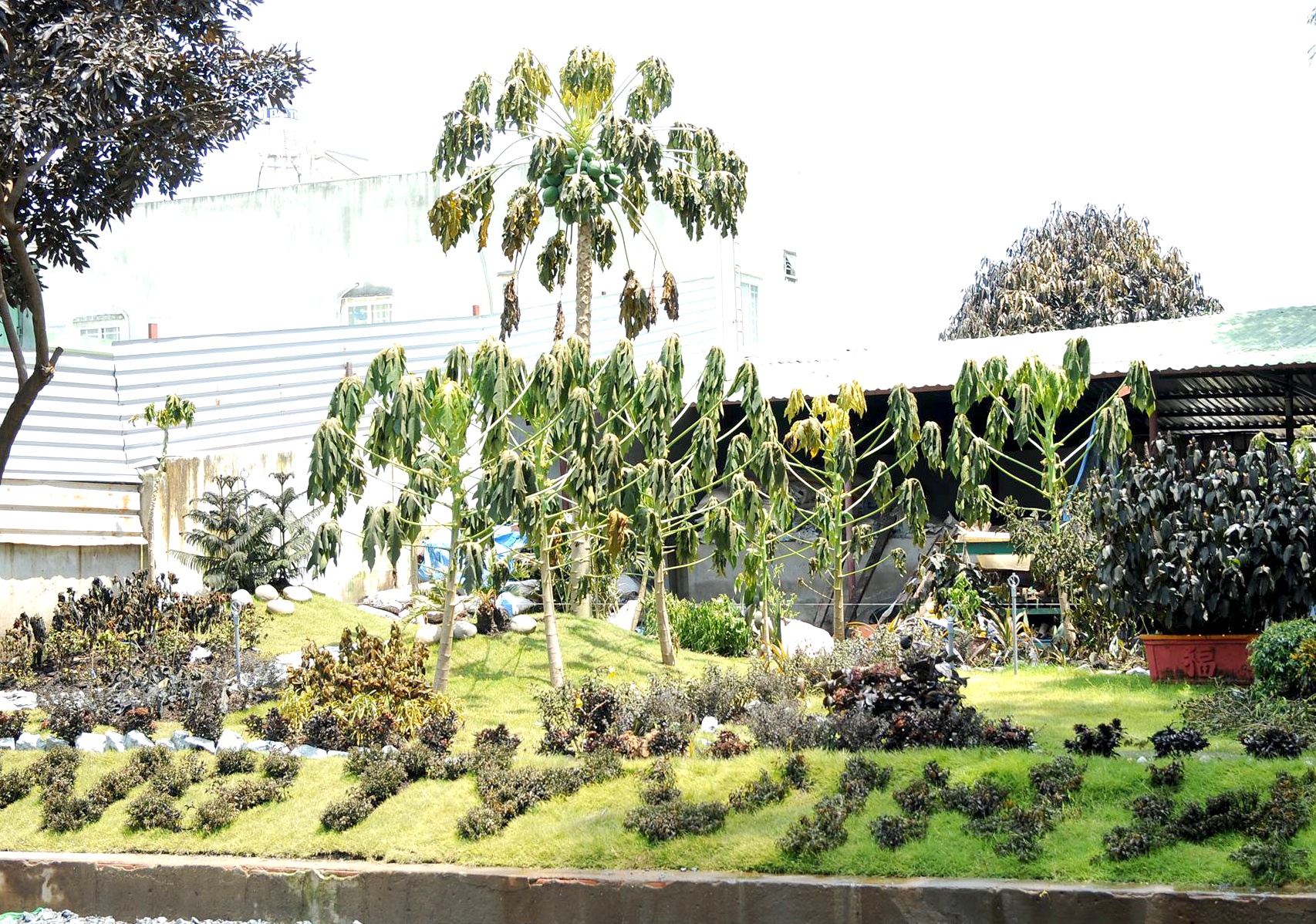 rò ri khí nh3 ở sài gòn ảnh 2 ro ri khi nh3 o sai gon anh 2