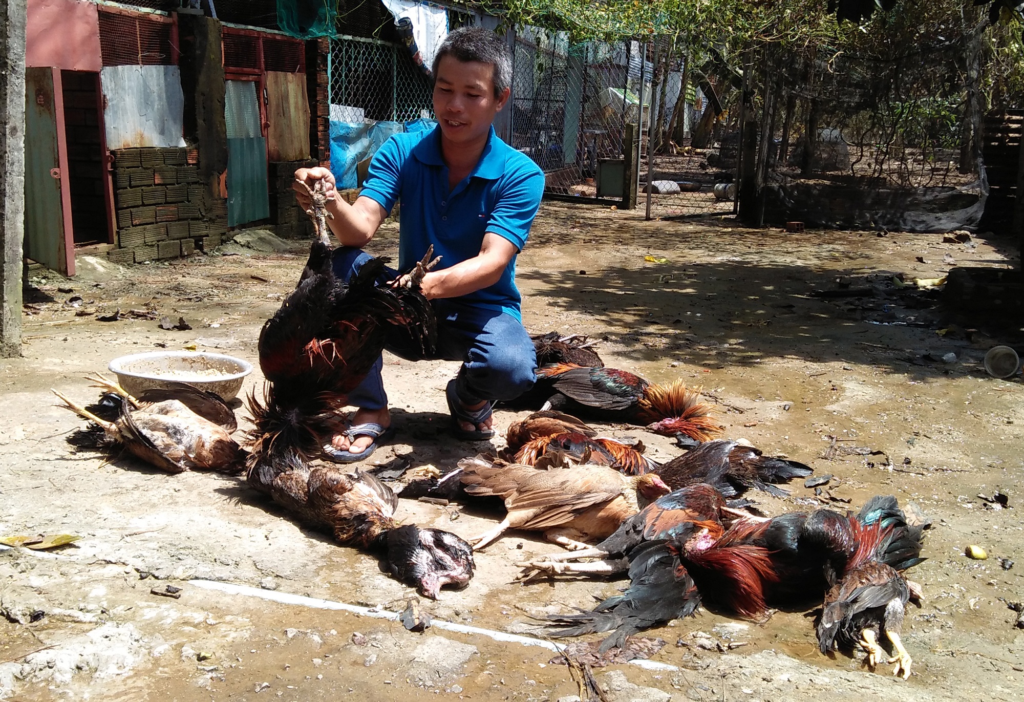 rò ri khí nh3 ở sài gòn ảnh 3 ro ri khi nh3 o sai gon anh 3