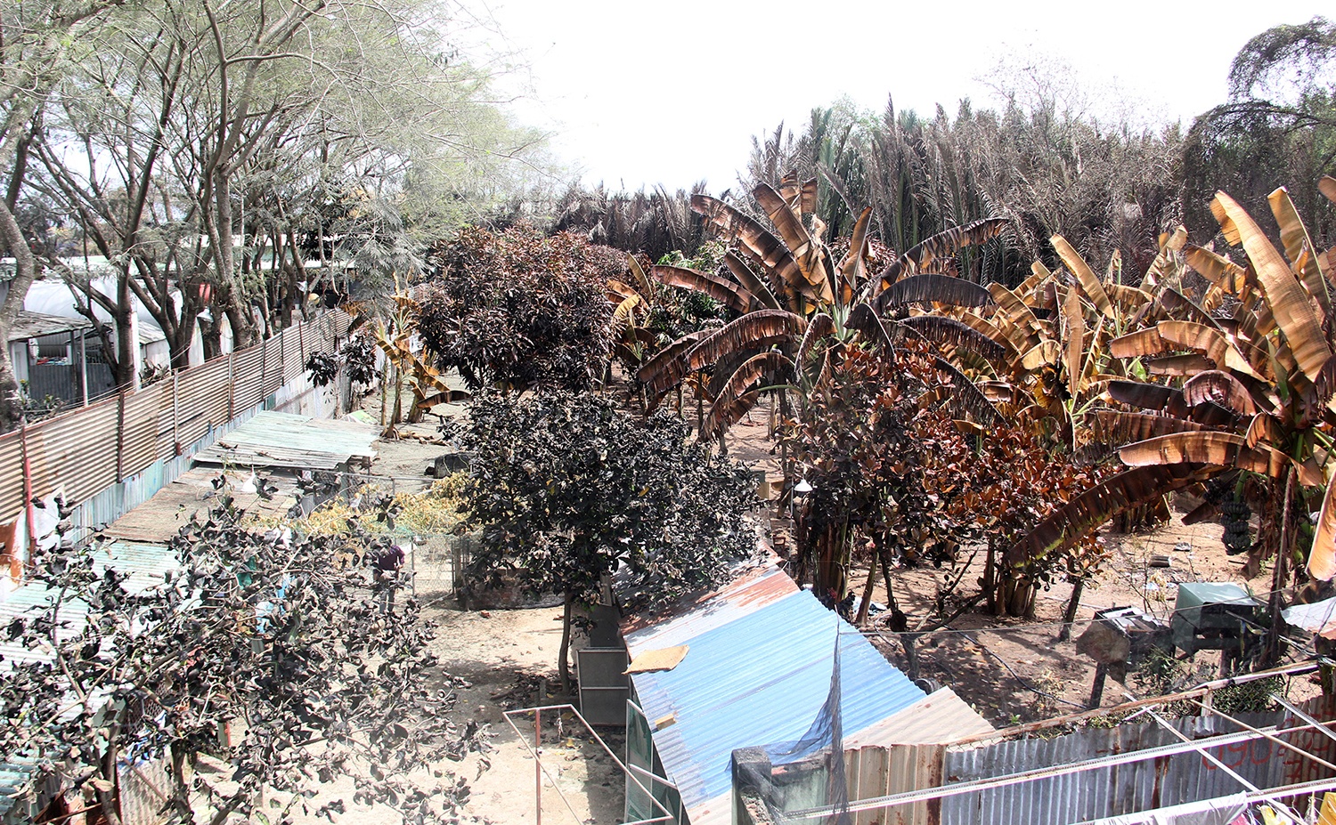 Moi truong xung quanh nguon ro ri khi amoniac da an toan hinh anh