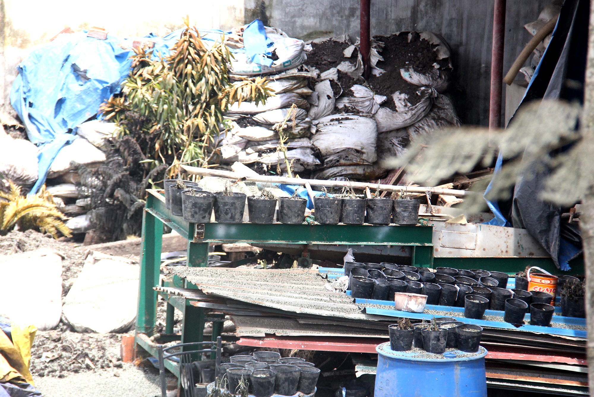 Bên trong cở sở san chiếc khí amoniac ảnh 6 Ben trong co so san chiec khi amoniac anh 6