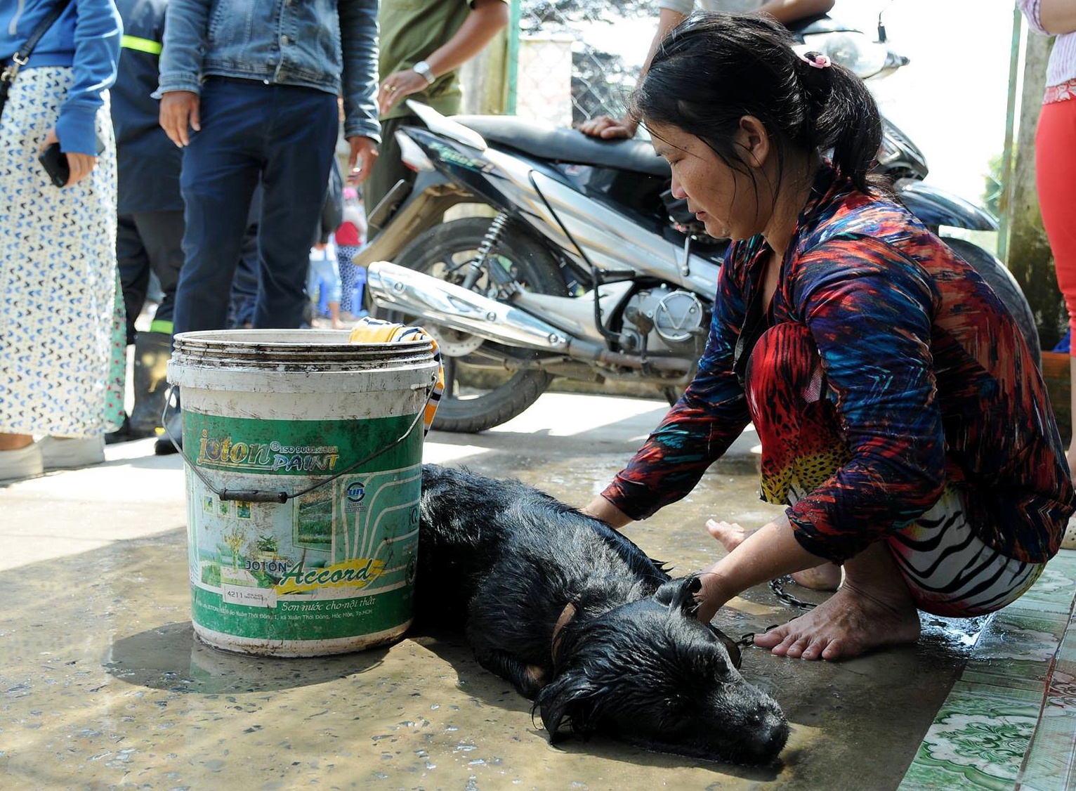 vụ rò rỉ khí amoniac ảnh 1 vu ro ri khi amoniac anh 1