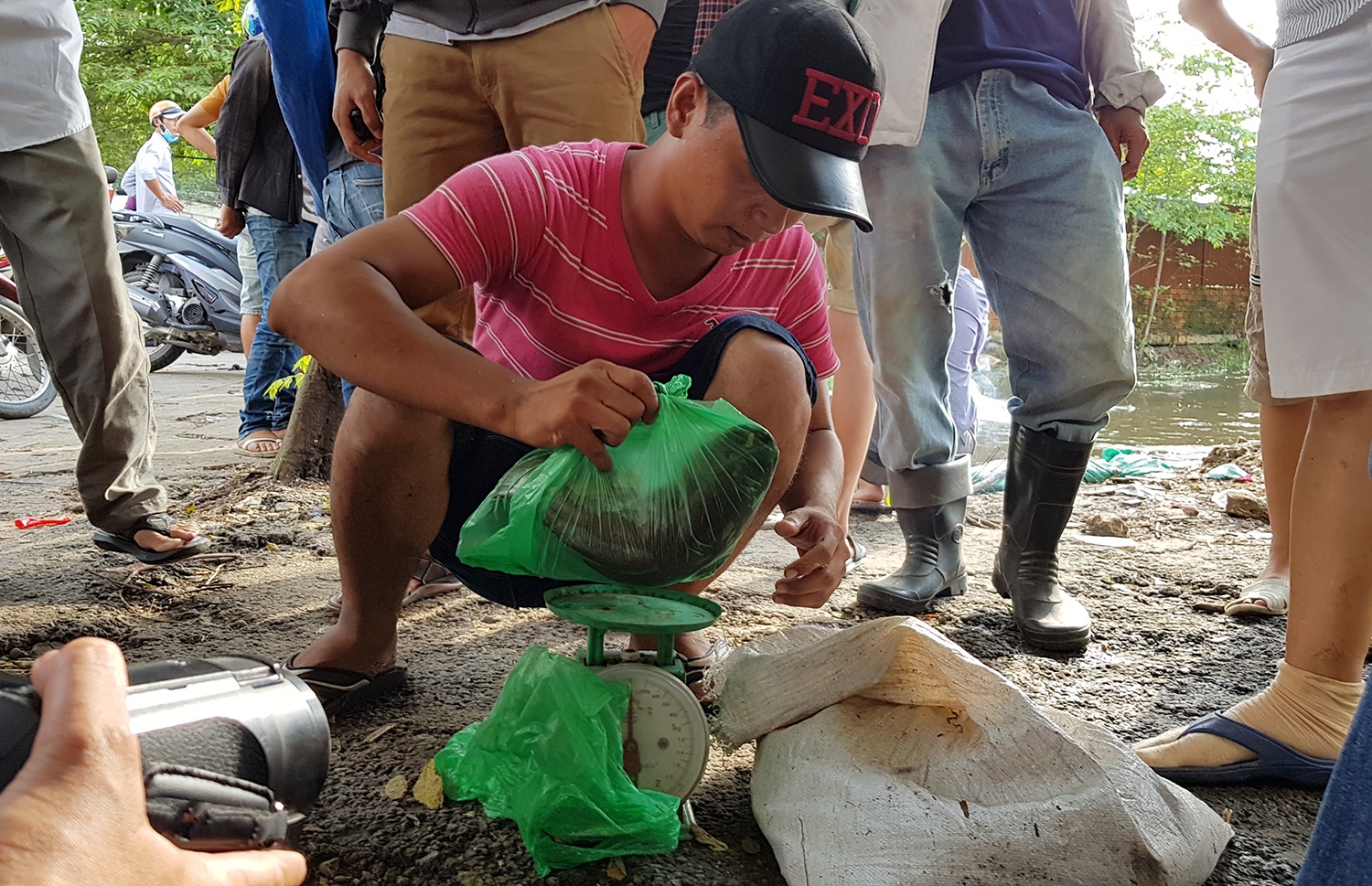 Người sài gòn bắt cá  ảnh 7 Nguoi sai gon bat ca anh 7