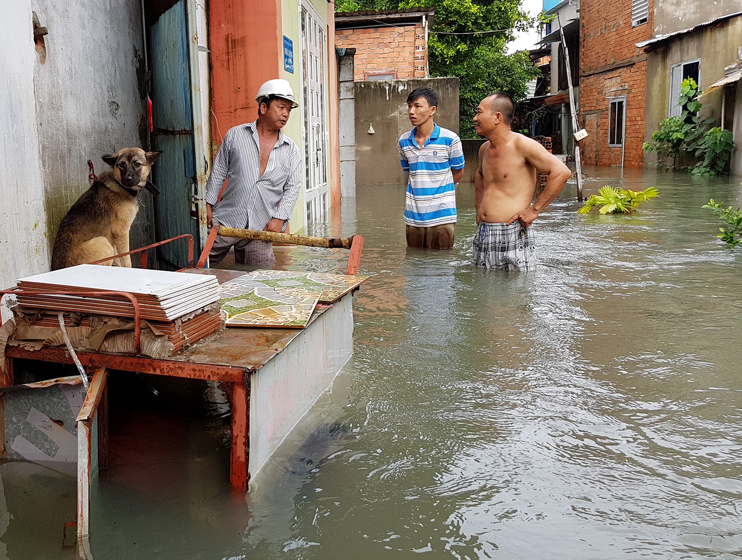 Nguoi sai gon boi phao de di lam anh 2