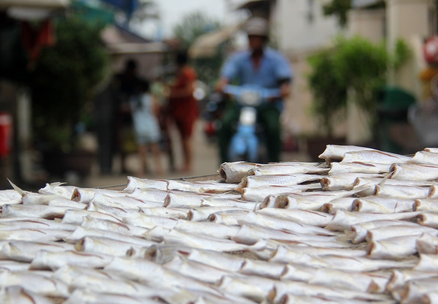 binh yen noi xa dao o sai gon anh 14