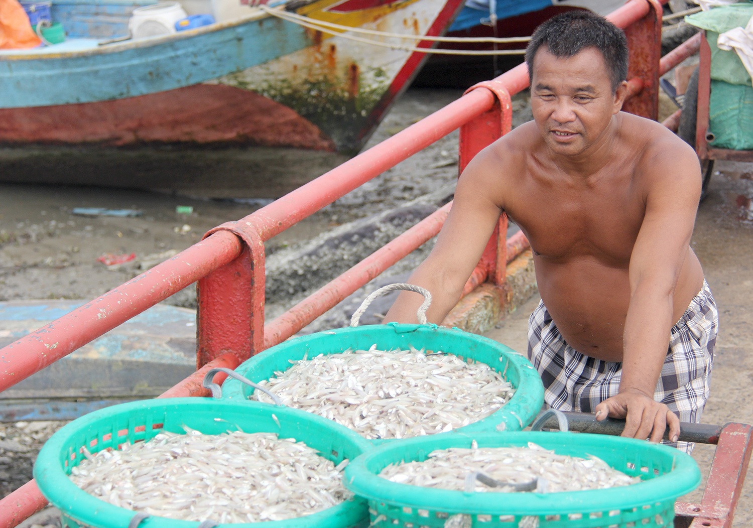 binh yen noi xa dao o sai gon anh 8