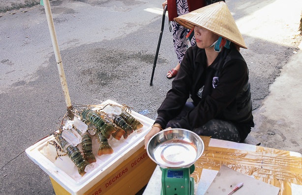 bán tôm hùm ở sài gòn ảnh 4 ban tom hum o sai gon anh 4