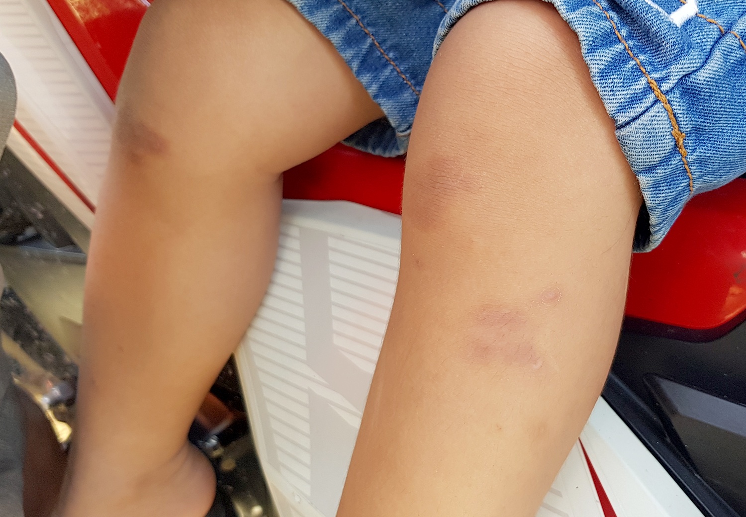 bao mau danh tre mam non anh 2