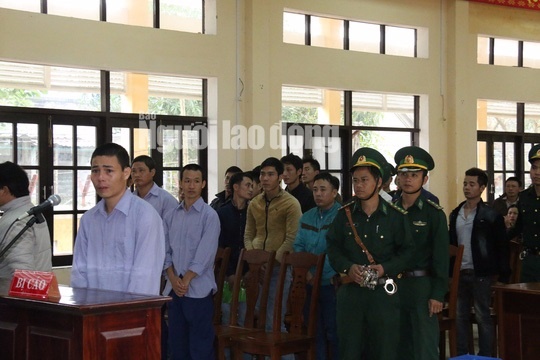 Phá rừng làm quà biếu ảnh 2 Pha rung lam qua bieu anh 2