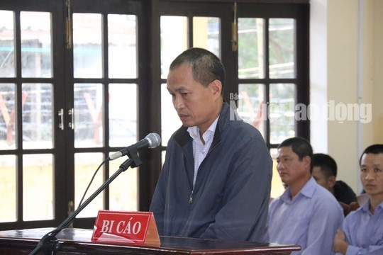 Phá rừng làm quà biếu ảnh 3 Pha rung lam qua bieu anh 3