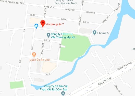 chay lon tai vincom quan 7 anh 4