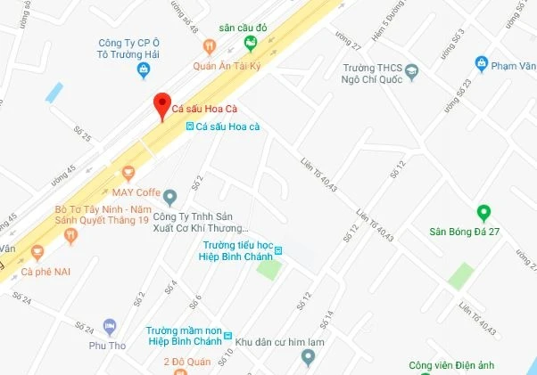 xe tai lat nhao o sai gon anh 4