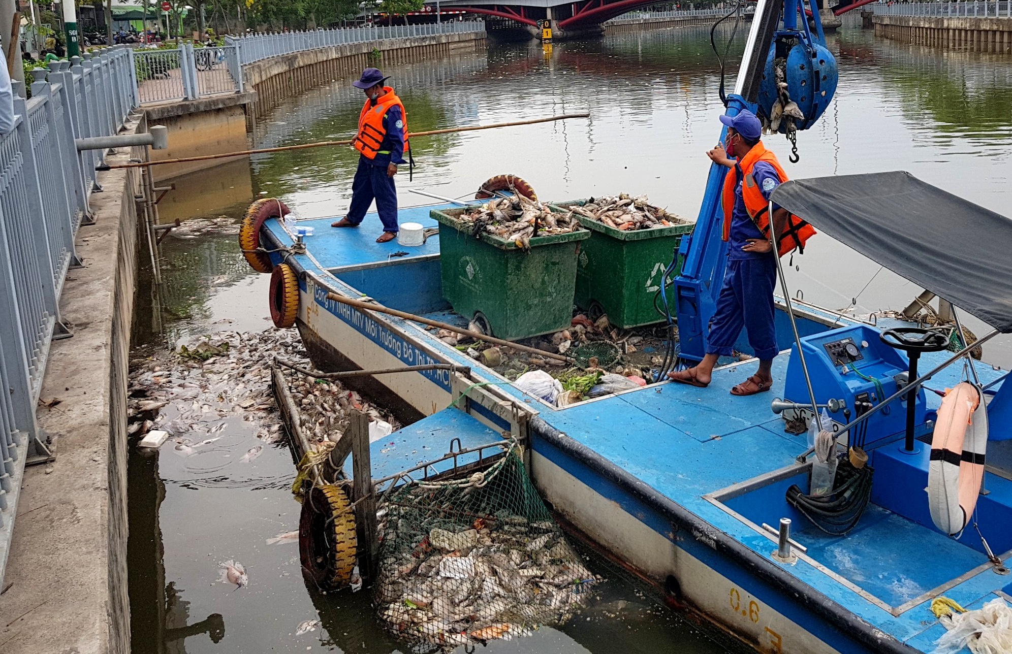 cá chết trắng kênh nhiêu lộc thị nghè ảnh 2 ca chet trang kenh nhieu loc thi nghe anh 2
