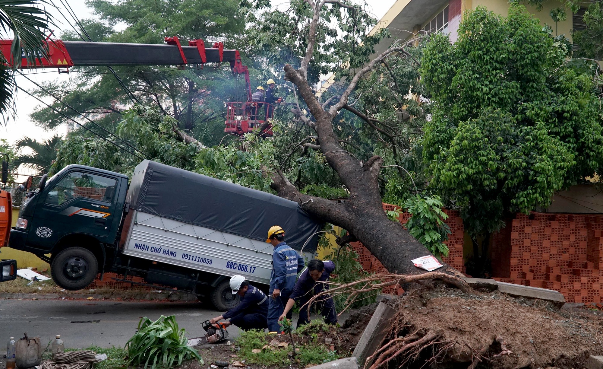 Nhieu cay xanh bat goc, de nha va oto sau tran dong loc o Sai Gon hinh anh