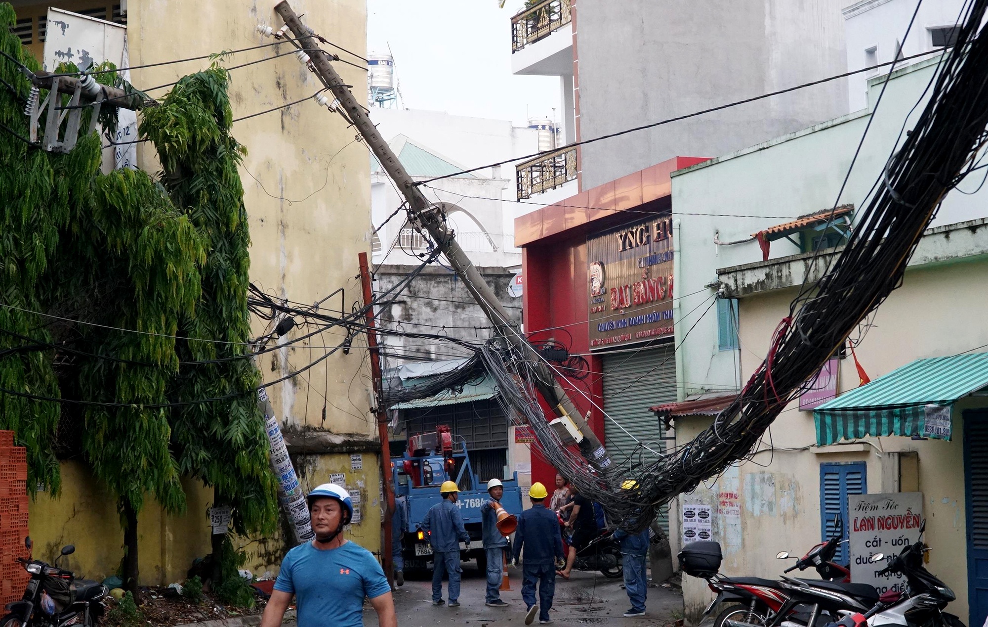 cay do hang loat o sai gon anh 2