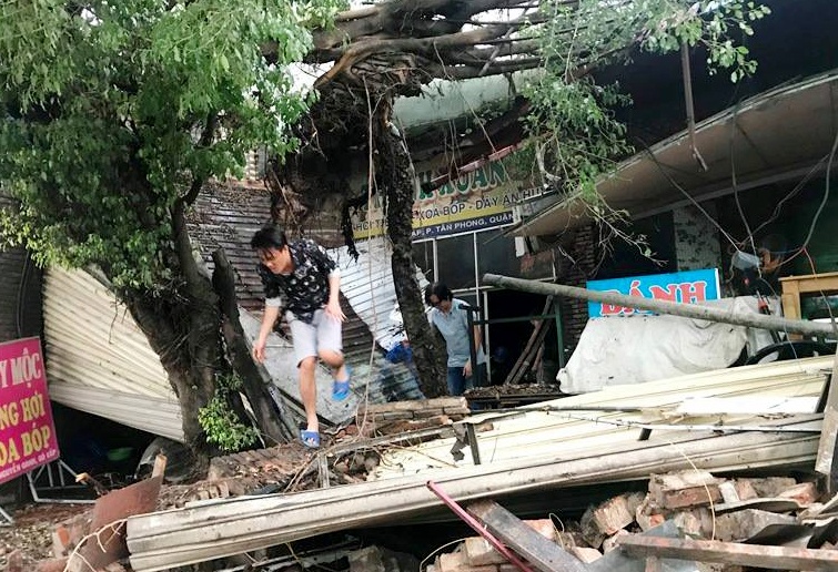 cay do hang loat o sai gon anh 3