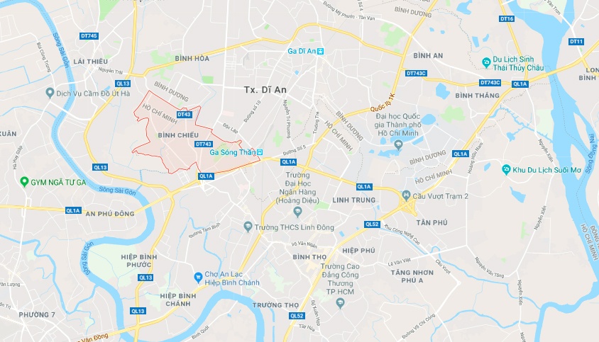 cây đổ đè ôtô ở sài gòn ảnh 3 cay do de oto o sai gon anh 3