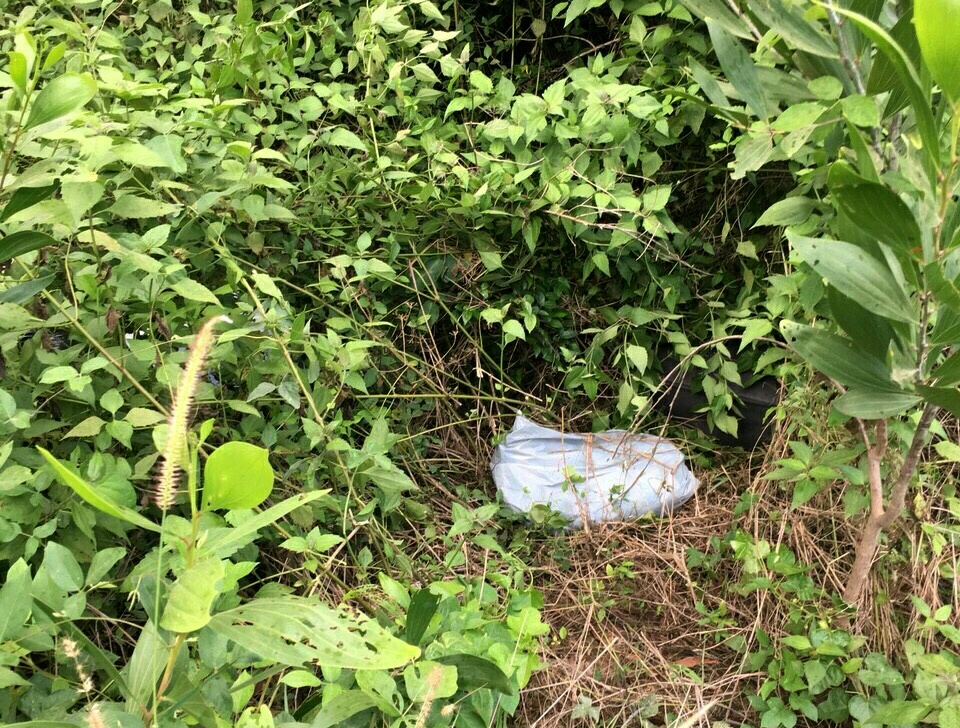 Giết bạn gái ảnh 2 Giet ban gai anh 2