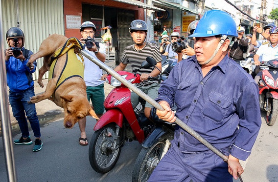 Ong Doan Ngoc Hai manh tay dep cho tha rong hinh anh