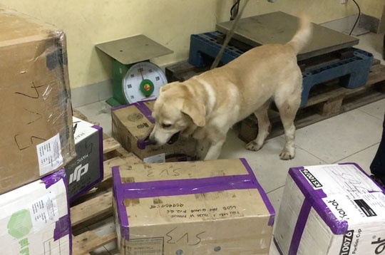 lộ mặt trùm buôn ma túy  ảnh 1 lo mat trum buon ma tuy anh 1