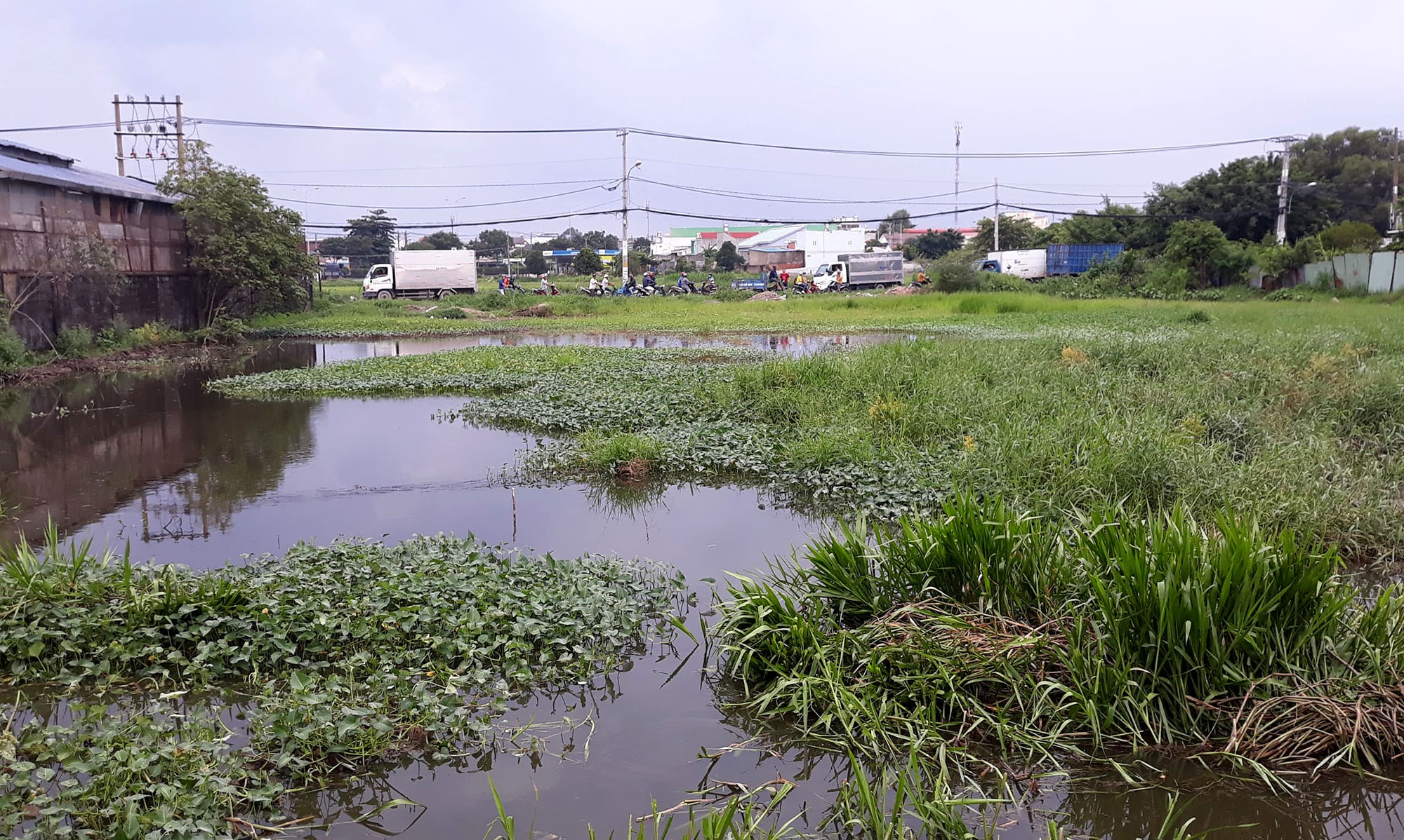 Nguoi dan ong tu vong canh bo kich dien danh ca duoi ao nuoc hinh anh