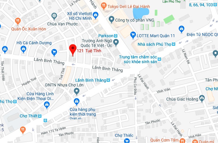 thanh nien co thu o sai gon anh 2