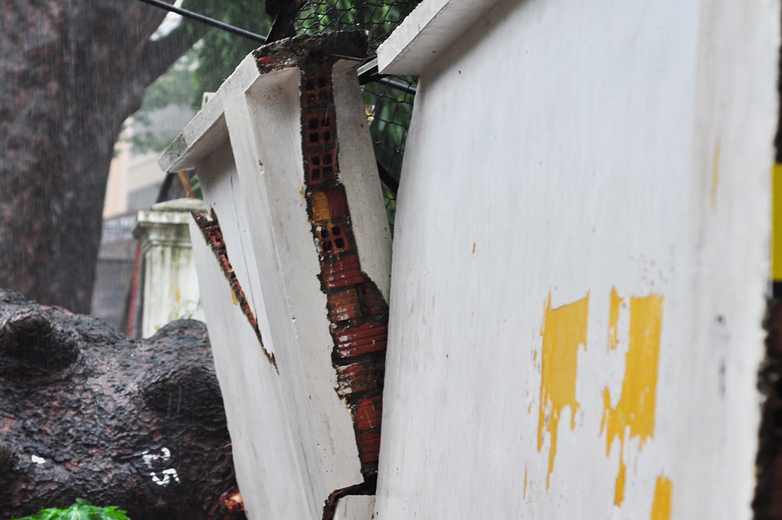 Can Gio tang hoang trong bao anh 17