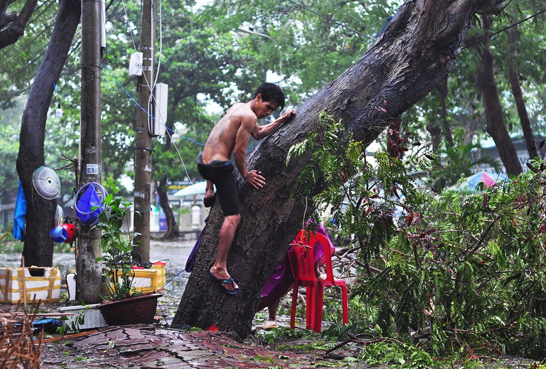 Can Gio tang hoang trong bao anh 18