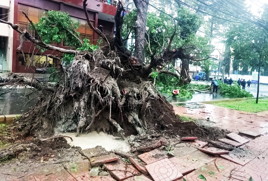 Can Gio tang hoang trong bao anh 9