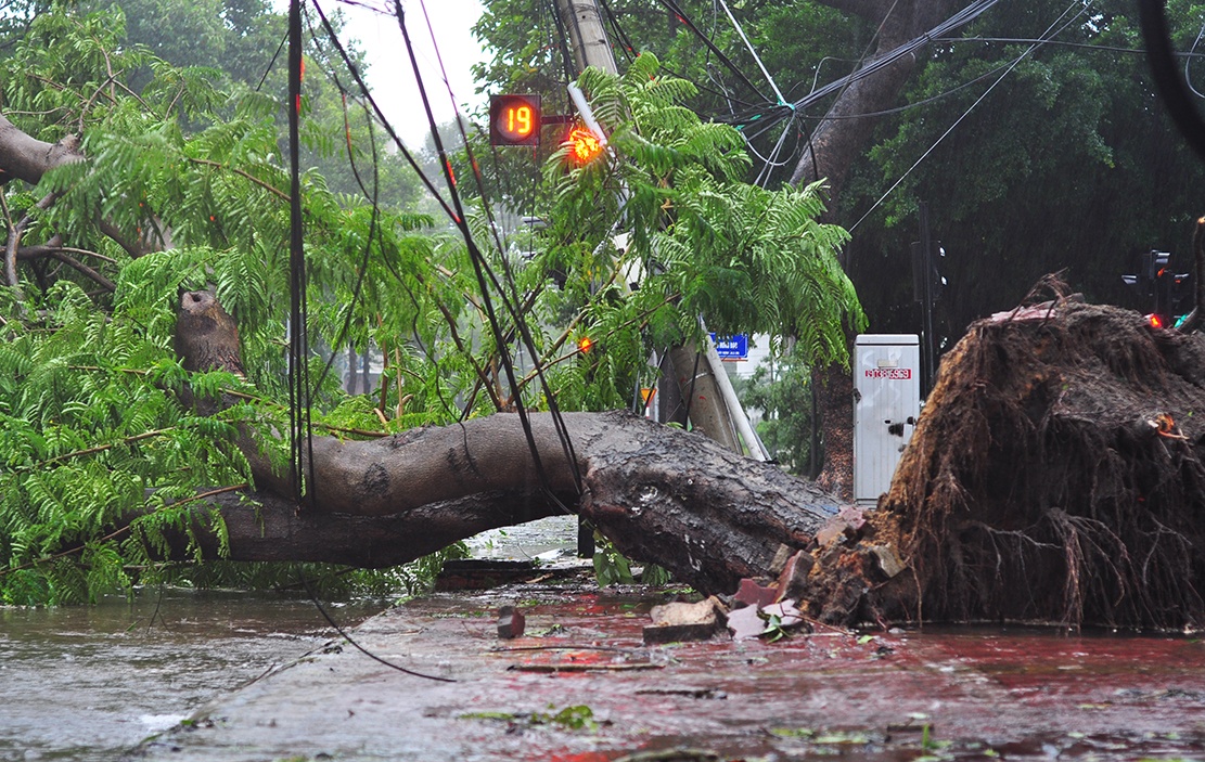 Can Gio tang hoang trong bao anh 10