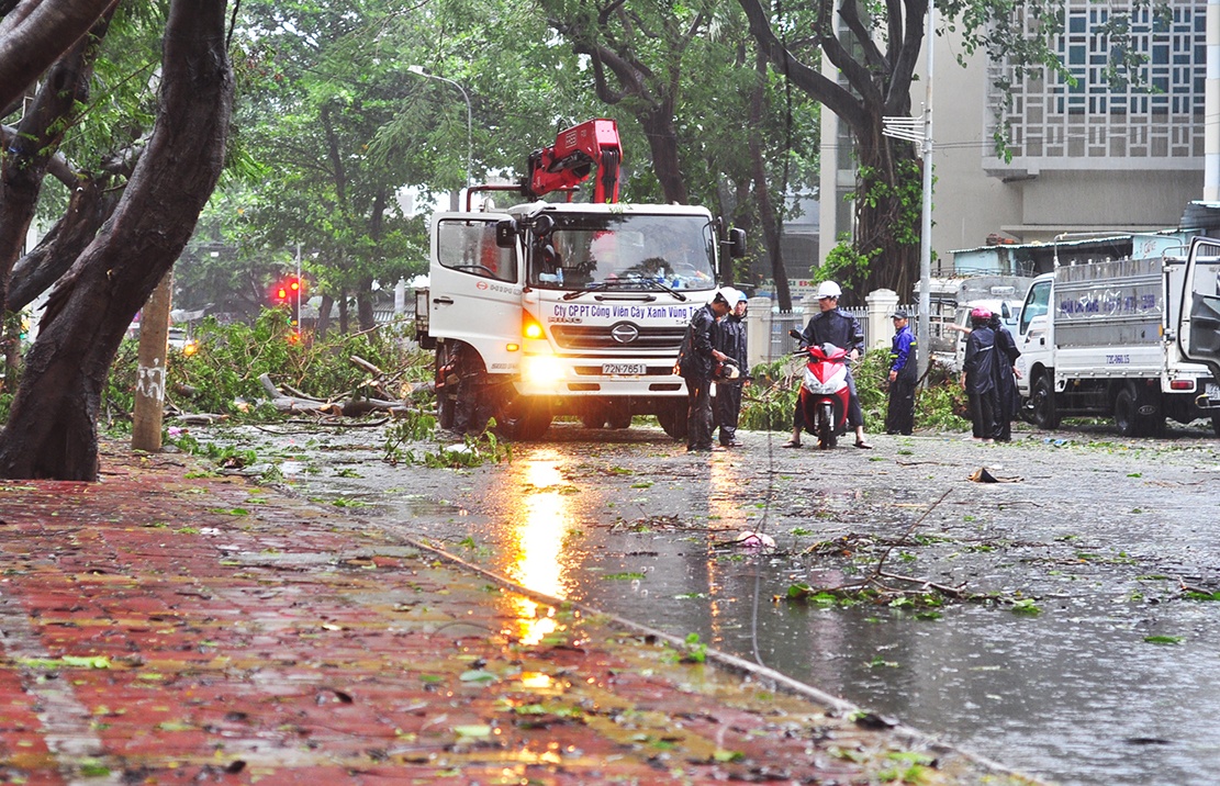 Can Gio tang hoang trong bao anh 11