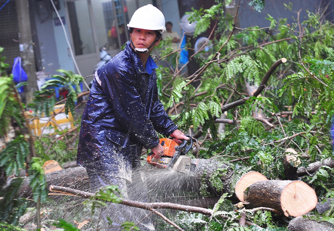 Can Gio tang hoang trong bao anh 12