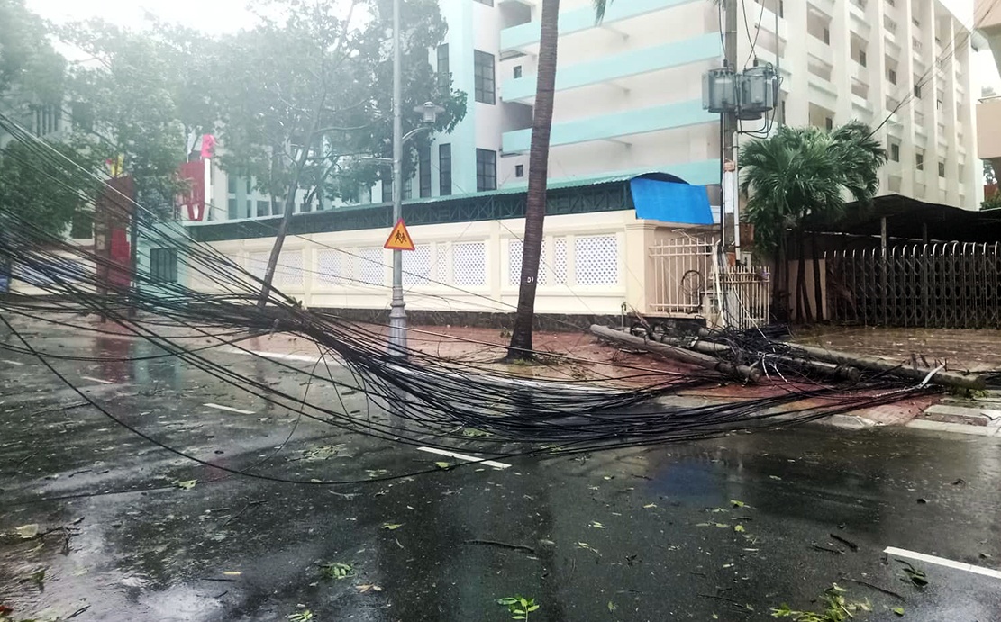 Can Gio tang hoang trong bao anh 14