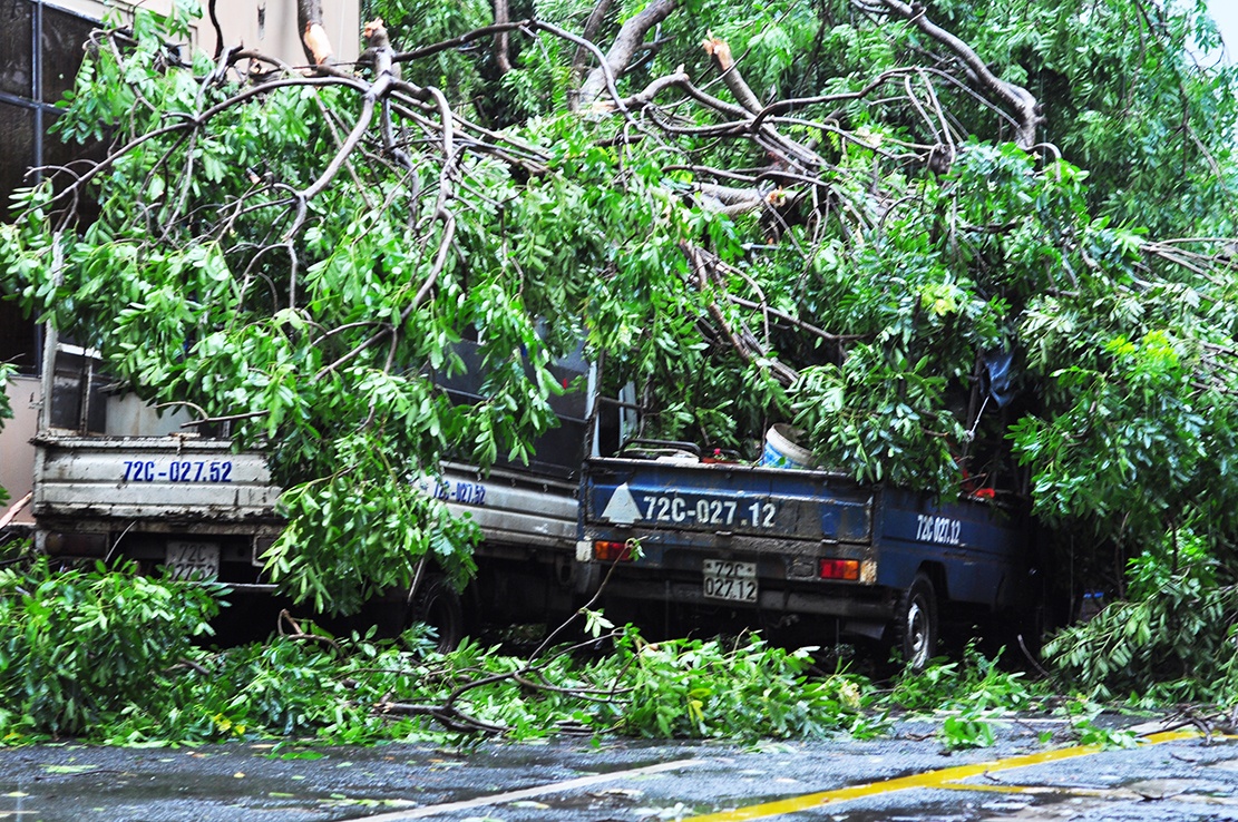 Can Gio tang hoang trong bao anh 13