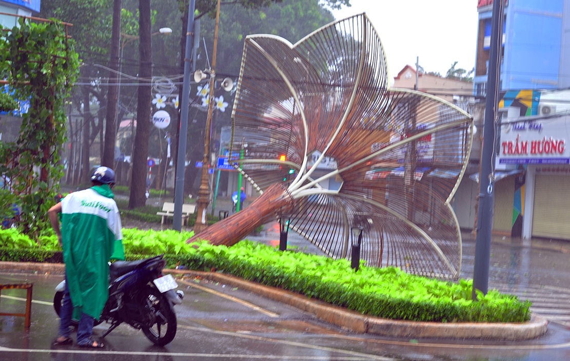 Can Gio tang hoang trong bao anh 15