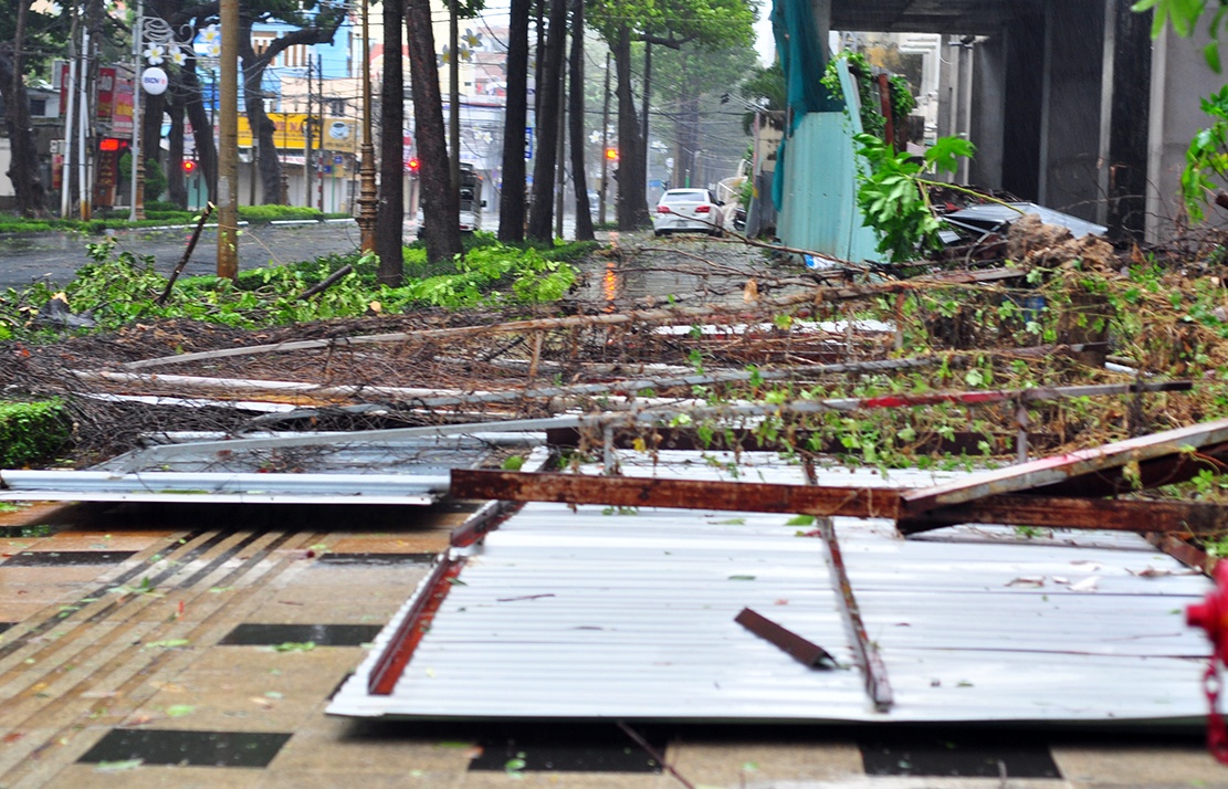 Can Gio tang hoang trong bao anh 16