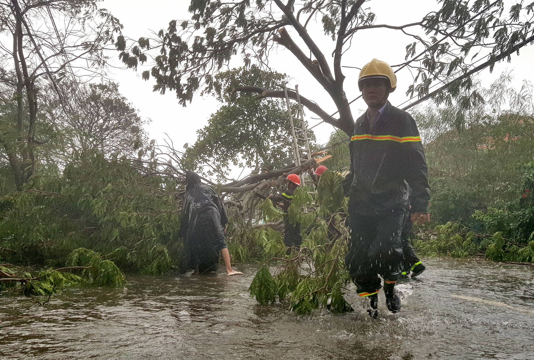 Can Gio tang hoang trong bao anh 2