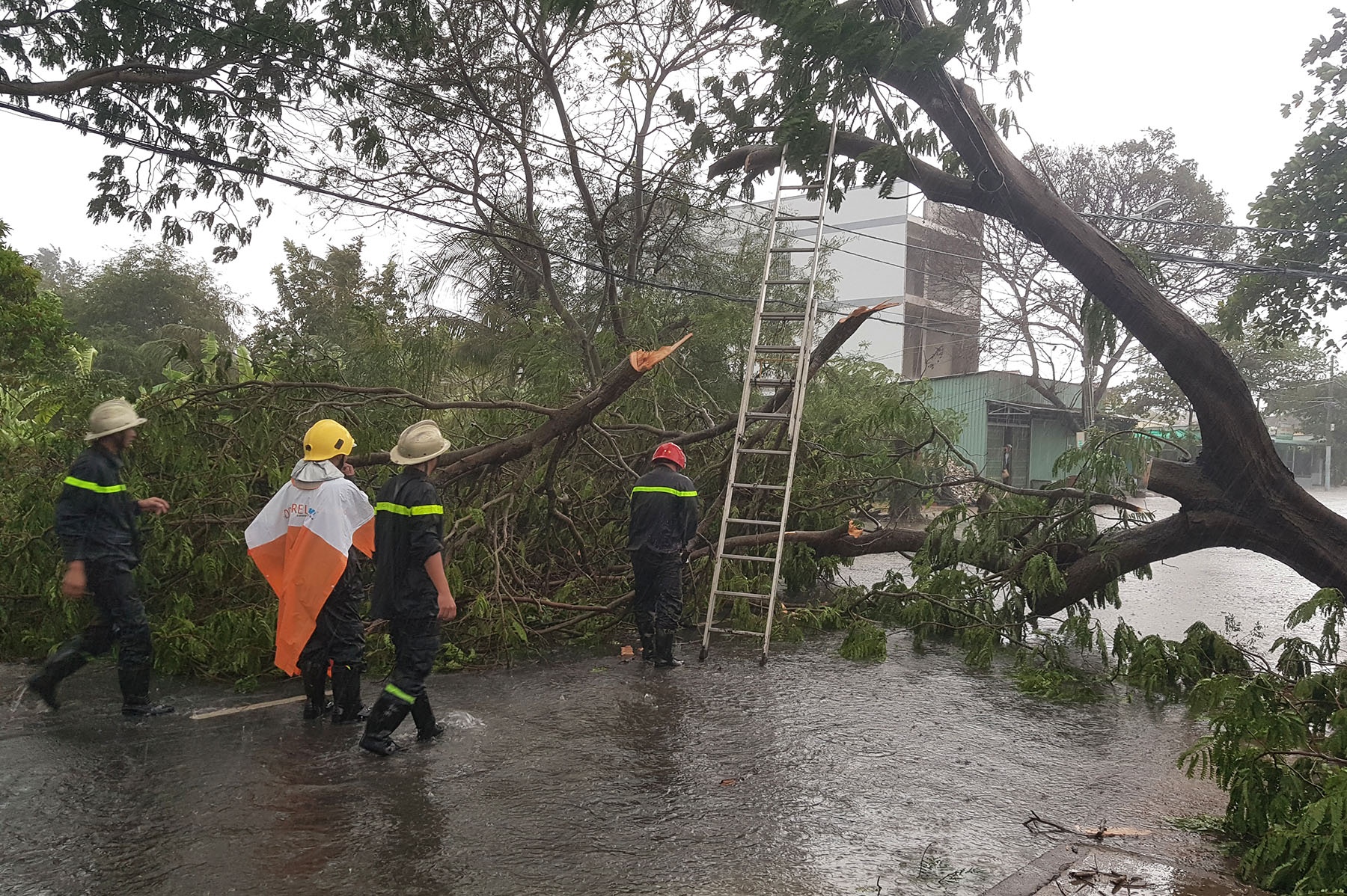 Can Gio tang hoang trong bao anh 3